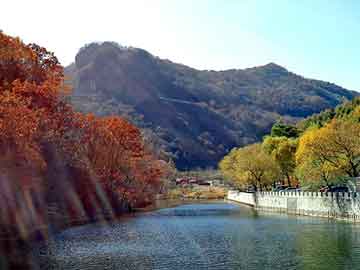 澳门天天免费精准大全，青岛一次性纸杯